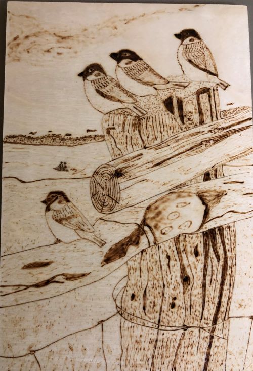 Triple C Carvers